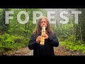 Forest Oasis Native American Flute Nature Sounds 