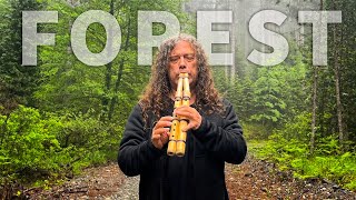 Forest Oasis  Native American Flute & Nature Sounds