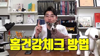 반려견 홈헬스케어 '이것'만 해줘도 큰 병 예방할 수 있어요. ㅣ설채현 수의학