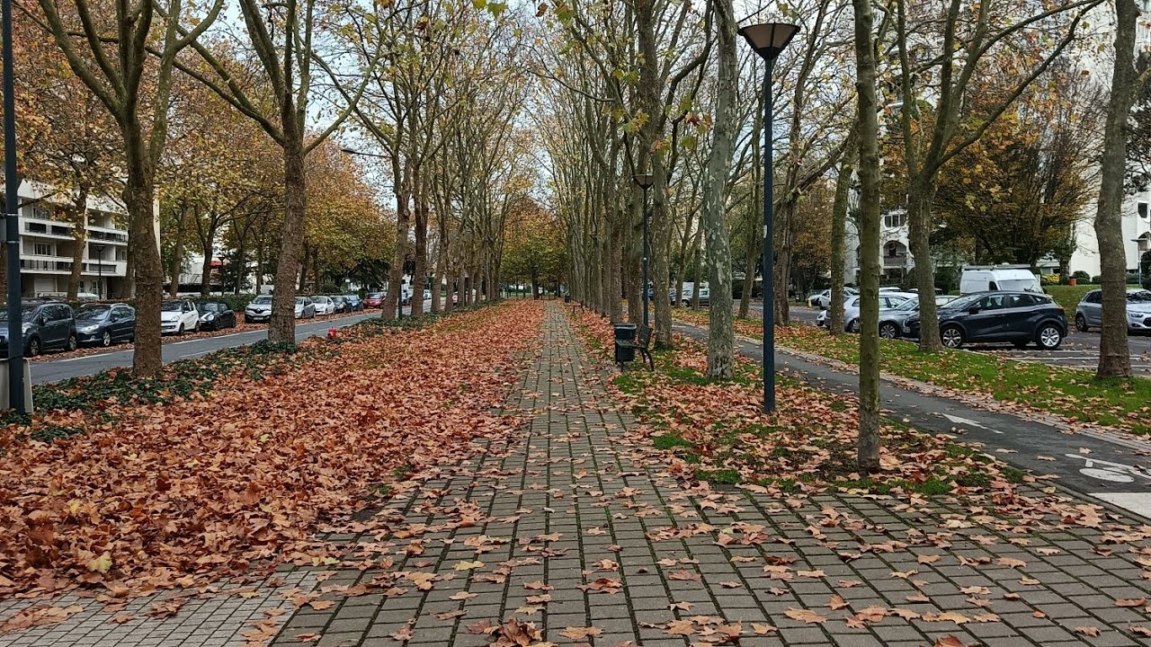 A simple day as an International Student🇫🇷@Merry_Rai 