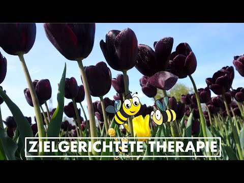 Video: Kinase-zielgerichtete Krebstherapien: Fortschritte, Herausforderungen Und Zukünftige Richtungen