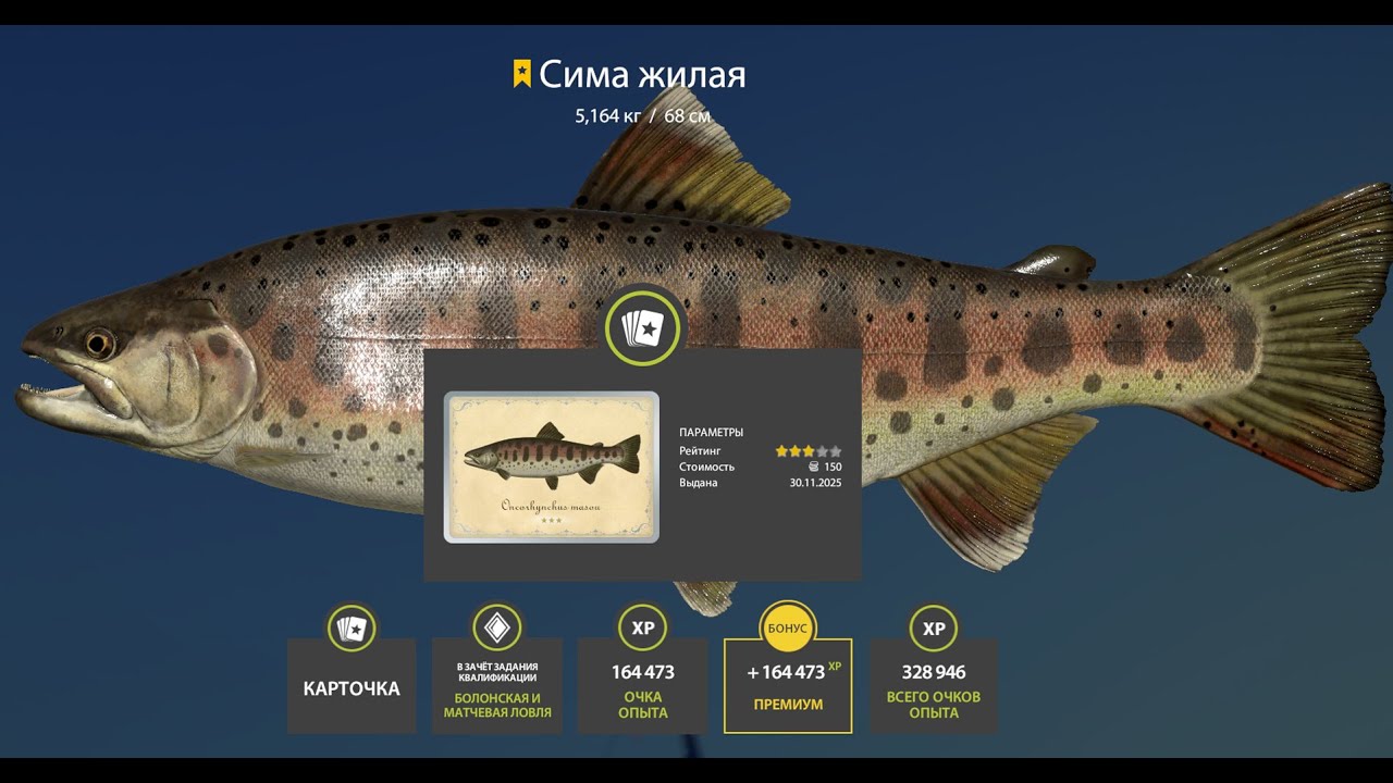 📢СТРИМ РР4🔥ВЕЧЕРНИЕ ПОСИДЕЛКИ НА РЫБАЛОЧКЕ🔥РУССКАЯ РЫБАЛКА 4