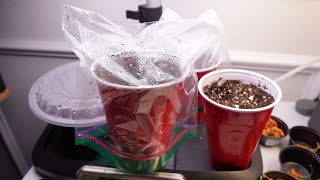 2023 Super Hot Grow Series Ep01 - The Season Begins!