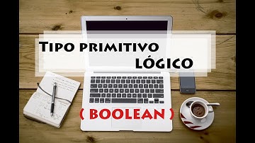 Variável do tipo lógico |  Tipos primitivos java