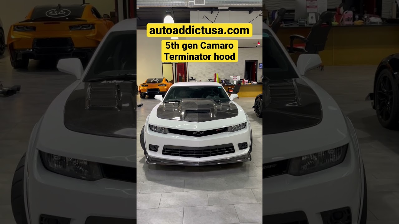 Terminator Carbon Hood 