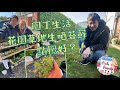 UK魚糧Family-調理農務🪴之園丁生活🧑‍🌾🌿 成個草地發晒Moss (苔蘚)😵‍💫 行下Garden Centre🌾 自己草地自己種💪🏻