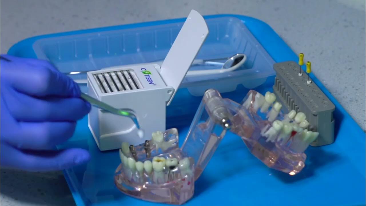 Dental Plastic Cotton Ball Holder Dispenser For Dentistry Use YouTube