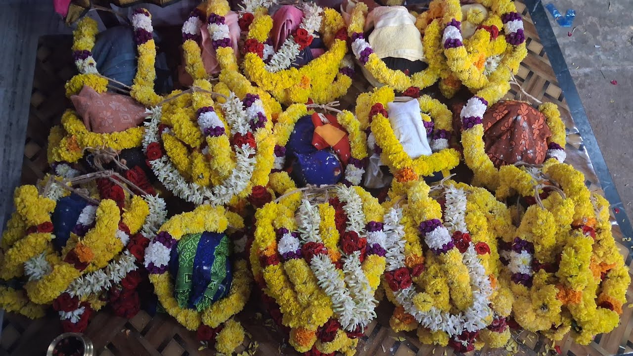 Vasu Vetri Tharum Ayyappa  vlog 🙏🕉️ &All Devotion  is live