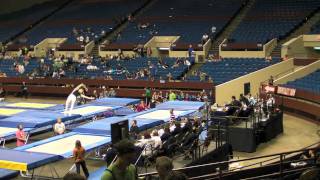 James Lichtenstein Trampoline 2011 Elite Challenge