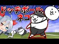 友達はボール 新神ムズ報酬ドッジボールネコがやばすぎたw にゃんこ大戦争 ゆっくり実況 2ND 478 友達はボール 新神ムズ報酬ドッジボールネコがやばすぎたw にゃんこ大戦争 ゆっくり実況 2ND 478