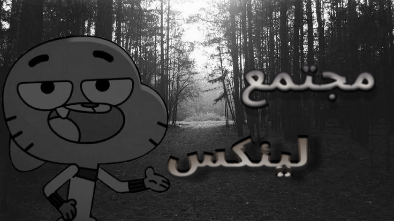 قصتي في استكشاف عالم لينكس #linux