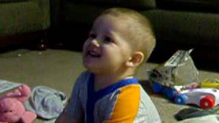 Laughing At Bruce On Finding Nemo