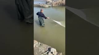 ماهیگیری سالی                                 fishing net video
