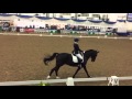 Extasia Novice Freestyle BD Winter Championships 2016
