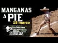 MANGANAS A PIE dia 15 - 8vo Campeonato Charro de la Sierra 2021