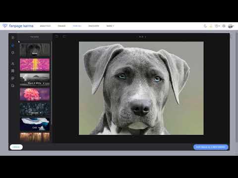 Creating and Scheduling Posts - Publishing with Fanpage Karma (Tutorial)