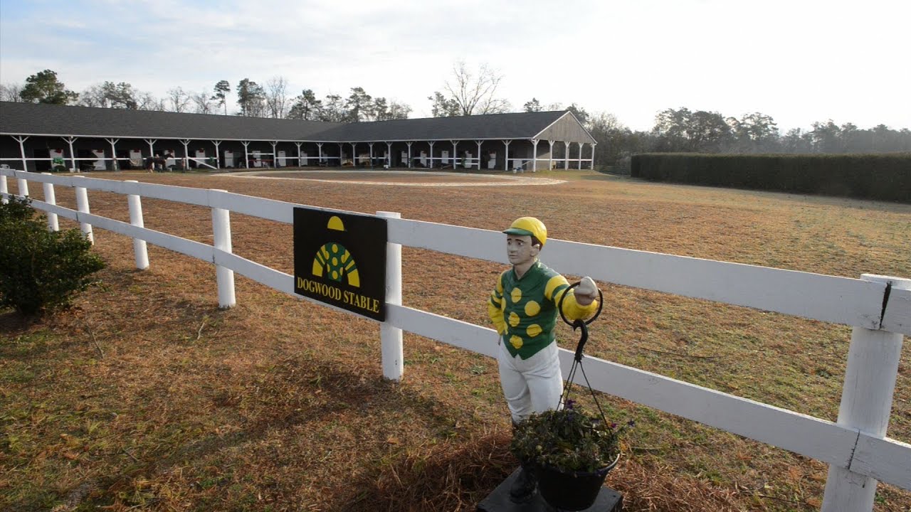 Augusta Outdoors Horse Racing in Aiken, South Carolina and Cot
