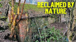 Incredible Things Left Behind In this ABANDONED House in the Woods!