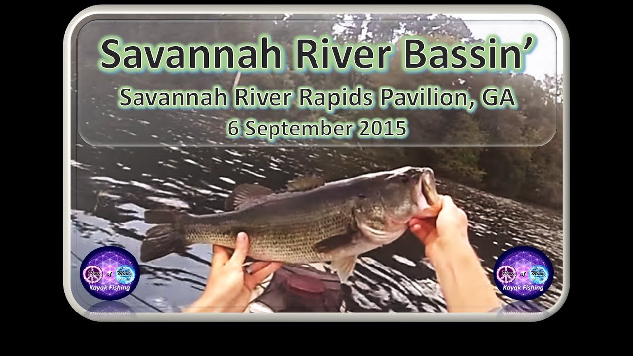 Big Largemouth, Smallmouth, and Bartram Bass on the Savannah River, Kayak Fishing, 14 June 2015 - YouTube