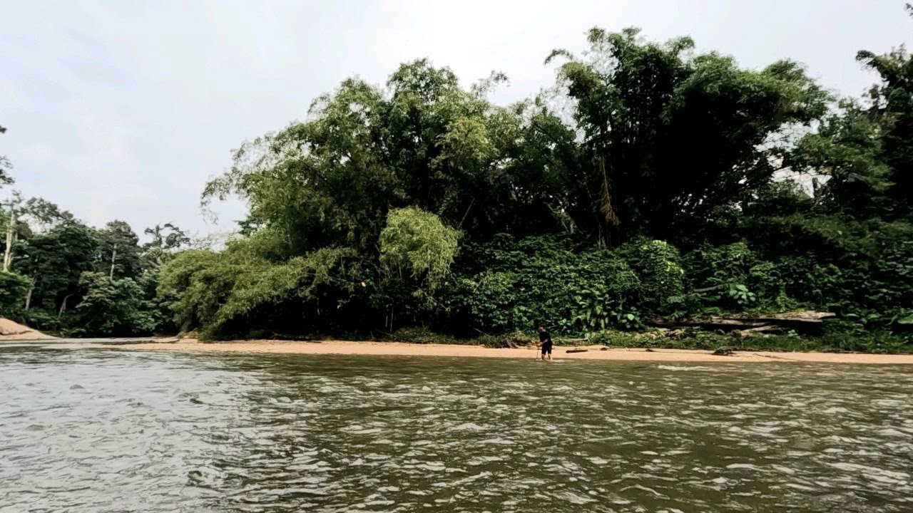 Forest8senses, Tanjung Malim, Perak - Recommended -