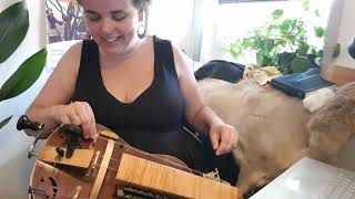 Playing in ALL the keys on a traditional hurdy gurdy