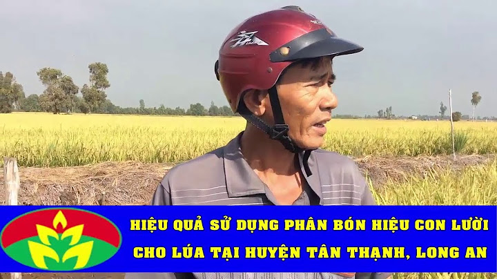 Tại sao những ruộng bị chưa lúa kém phát triển