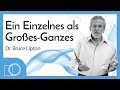 Ein Einzelnes als Großes-Ganzes  🕵️‍❤️ | Bruce Lipton (deutsch)