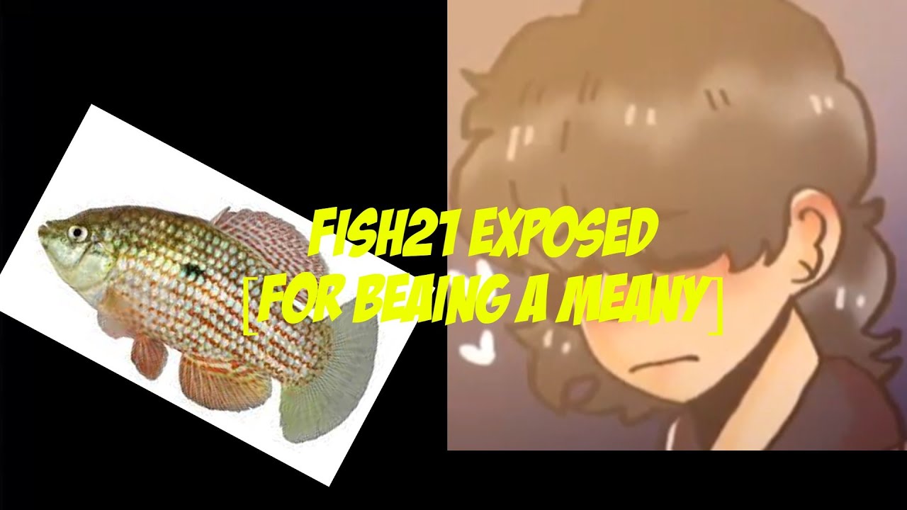 FISH21 EXPOSED [the truth] - YouTube