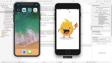 Google Database Program: Demo Cloud Firestore NoSQL Database for iOS
