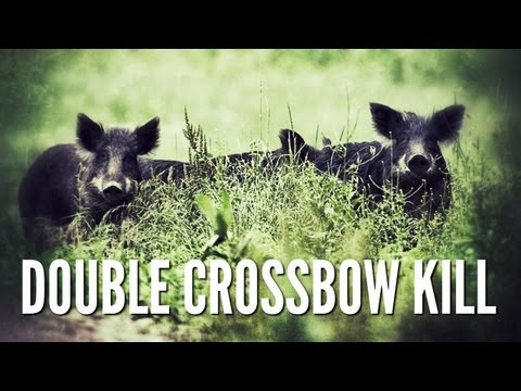 Two Hogs With One Shot! - Double Crossbow Kill - Hog Hunting Texas