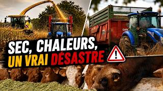 UNE RECOLTE CATASTROPHIQUE !