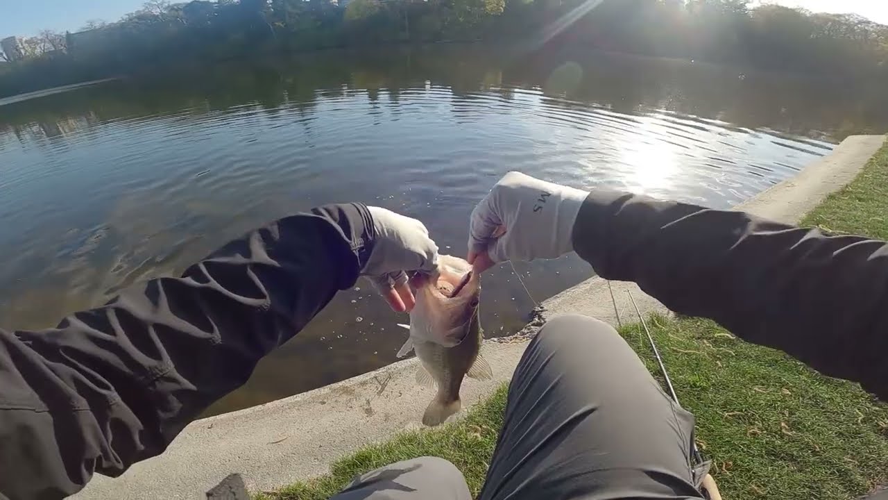 [Pond] Bass Fishing