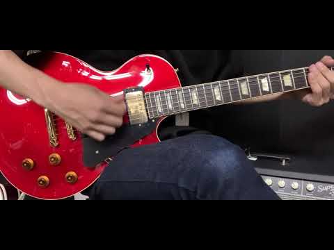 エイト FUJIGEN フジゲン NLS10RMPTBレスポール FUJIGEN(FGN
