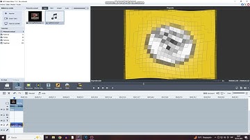 I Made WHAT? Effect With AVS And Audacity!