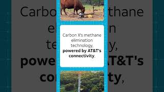 AT&T Gigaton Spotlight: Carbon X | AT&T