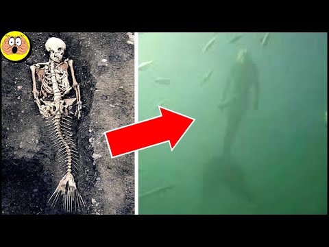10 Mysteriöse Meerjungfrauen-Sichtungen mit der Kamera festgehalten