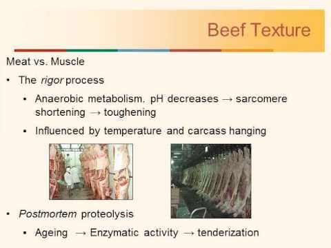 Beef Tenderness (2013) - YouTube