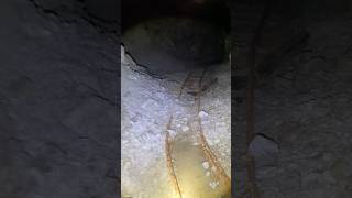 Download Lagu Reizen.. Standhouden #nieuwemuziek #stenenpassage #stenencirkel #vrijheid MP3