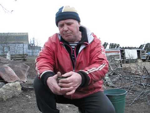 Как правильно вырастить хорошую рассаду ! Как правильно вырастить хорошую рассаду !