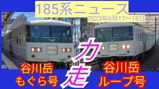 【185系ニュース】臨時特急:谷川岳もぐら号＆谷川岳ループ号の力走を撮影しました！23.06.17〜18