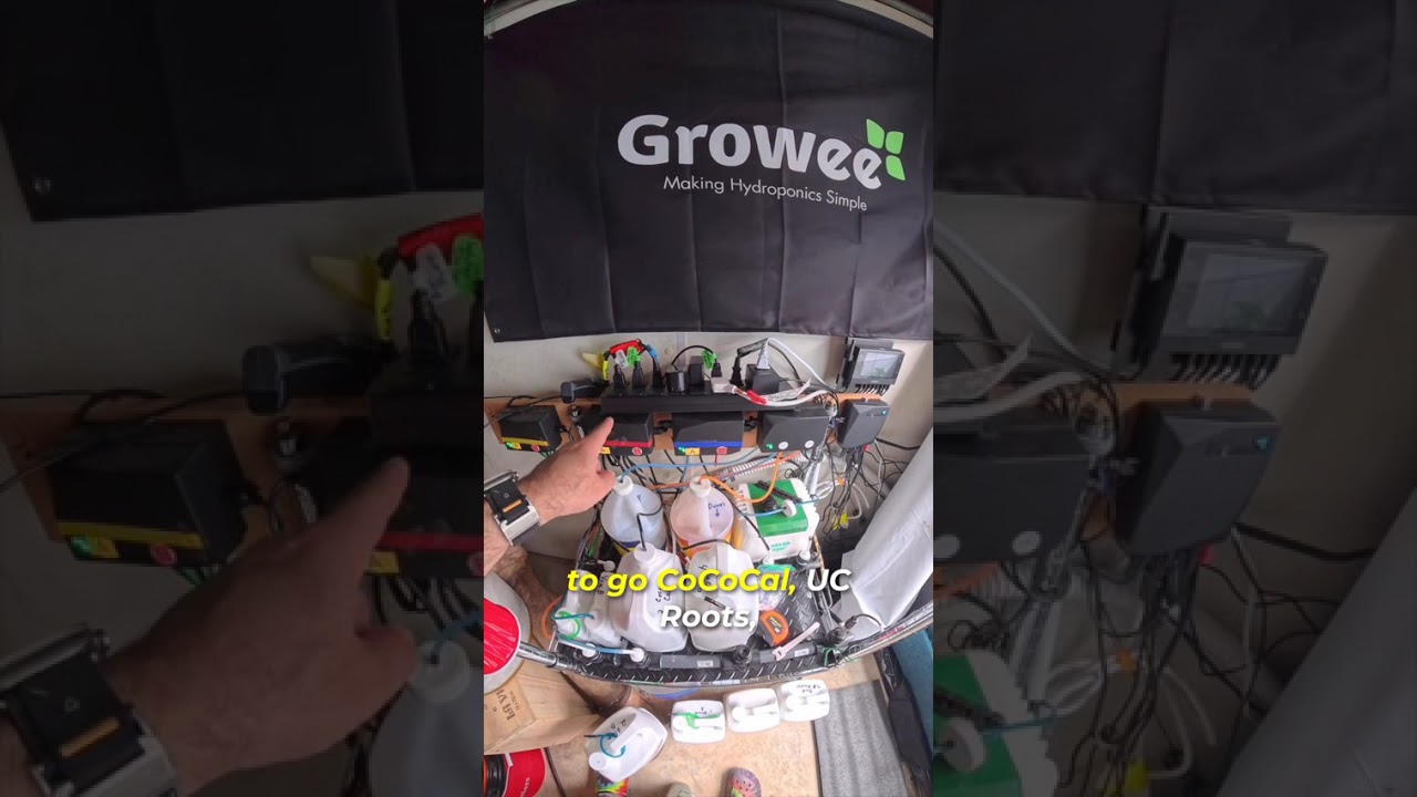 Reordering nutrients smart