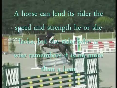 horse-quotes-=)