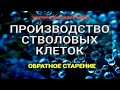 Производство стволовых клеток Ч.2🎧Мощная регенерация органов🎧Исцеление звуком