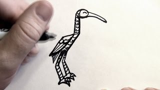 How to Draw an Ibis