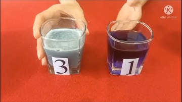 sự đổi màu của hoa đậu biếc