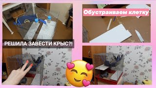 РЕШИЛА ЗАВЕСТИ КРЫС?! / ОБУСТРАИВАЮ КЛЕТКУ ДЛЯ НОВЫХ ПИТОМЦЕВ РЕШИЛА ЗАВЕСТИ КРЫС?! / ОБУСТРАИВАЮ КЛЕТКУ ДЛЯ НОВЫХ ПИТОМЦЕВ