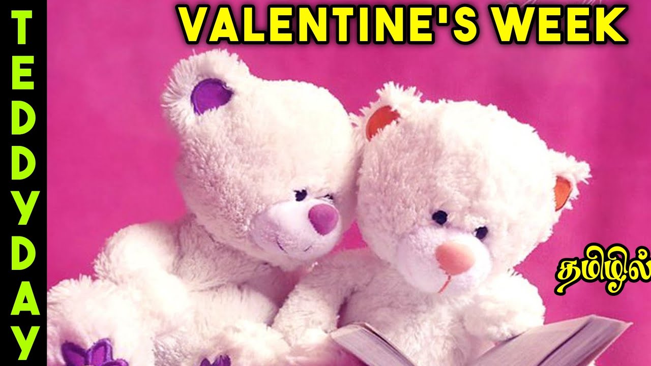 Teddy Day Tamil Teddy bear History TeddyDayTamil TeddyDay YouTube