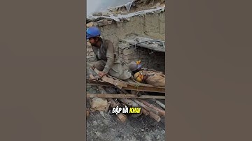 Công việc được xem là nguy hiểm nhất thế giới #shorts