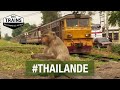 Thailande - Des trains pas comme les autres - Koh Trang - Bangkok -Thailande du Nord - Documentaire