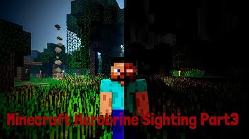 Minecraft Herobrine Sighting 2020 Part 3 [Documentary]